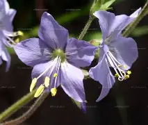 怎么把nodejs卸载干净-九游网址