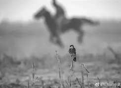 包含tN獂X]U鹗6嶤B奷}(ш0e]N[的词条-九游彩票