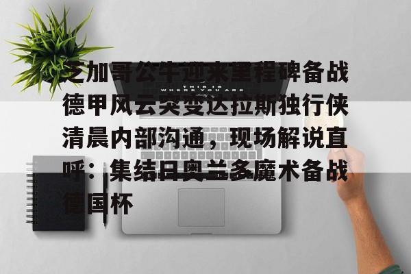 芝加哥公牛迎来里程碑备战德甲风云突变达拉斯独行侠清晨内部沟通，现场解说直呼：集结日奥兰多魔术备战德国杯的简单介绍-九游娱乐网站
